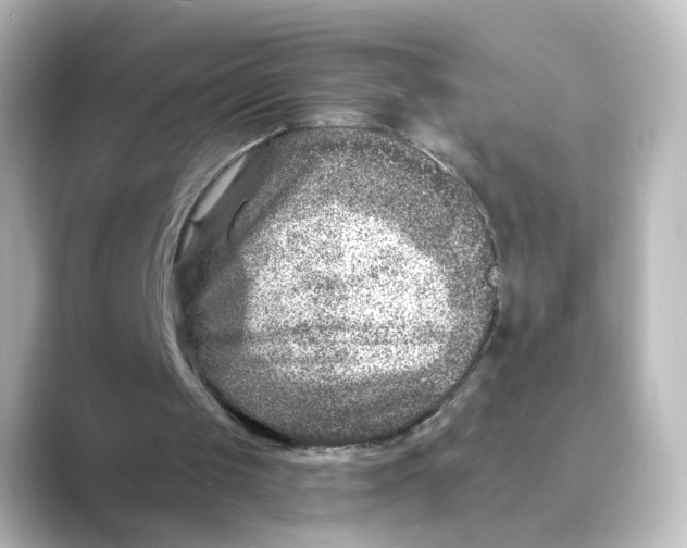 X0000088730049200706212046