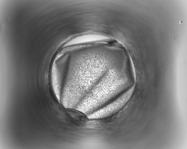 X0000088730050200706212046