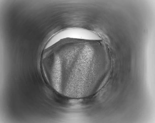 X0000088730051200706212046