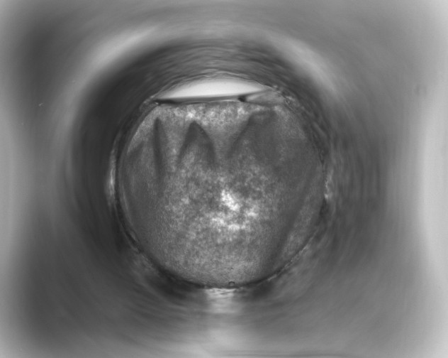 X0000088730052200706212046