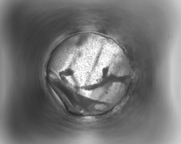 X0000088730053200706212046