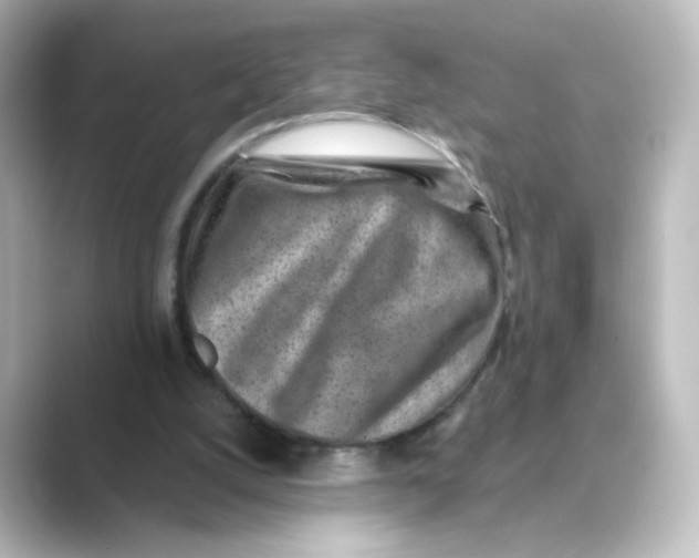 X0000088730056200706212046