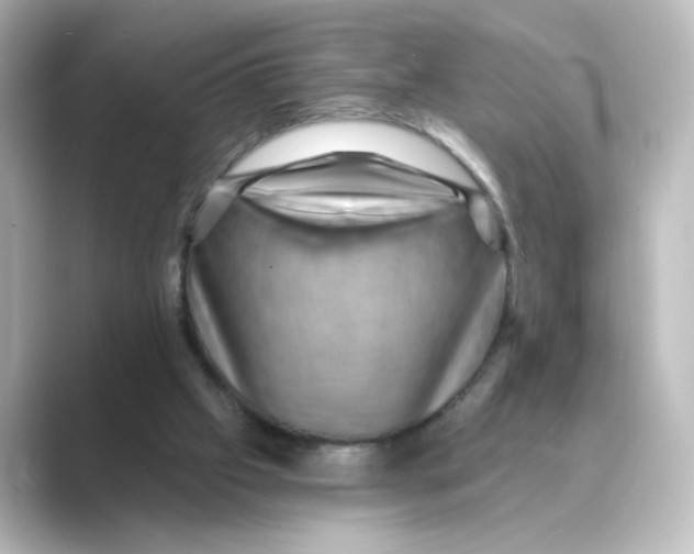 X0000088730057200706212046