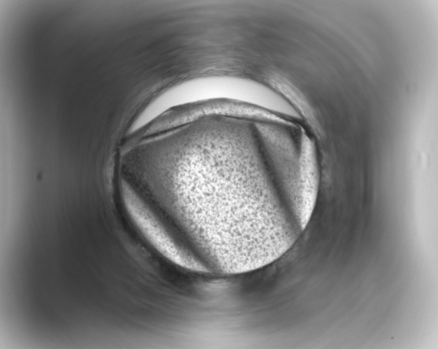 X0000088730058200706212046