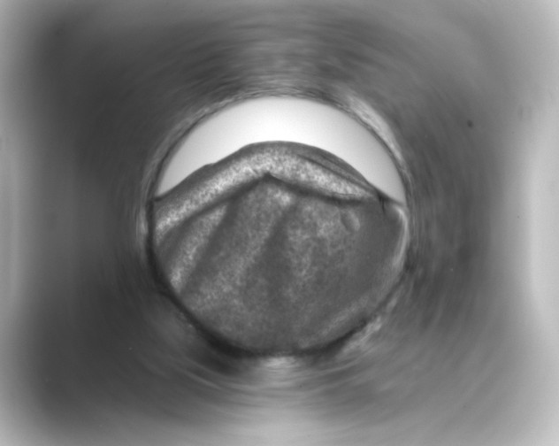 X0000088730059200706212046