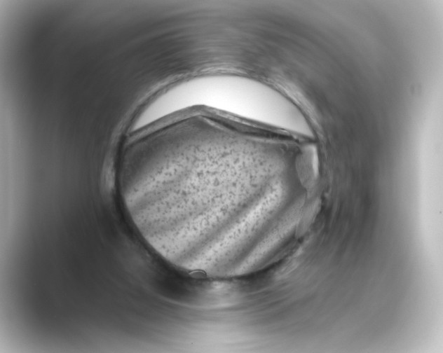 X0000088730060200706212046