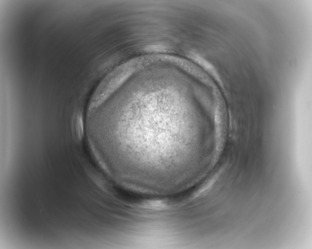 X0000088730061200706212046