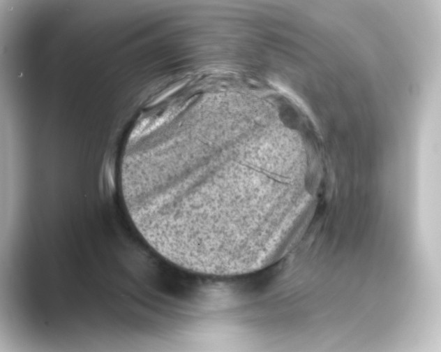 X0000088730062200706212046