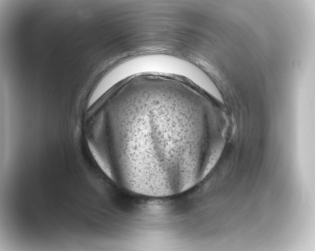 X0000088730064200706212046