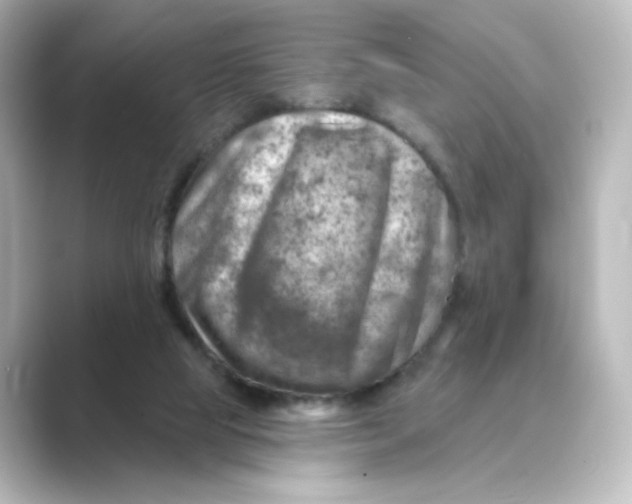 X0000088730065200706212046