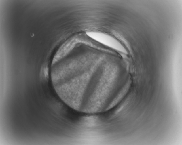 X0000088730067200706212046