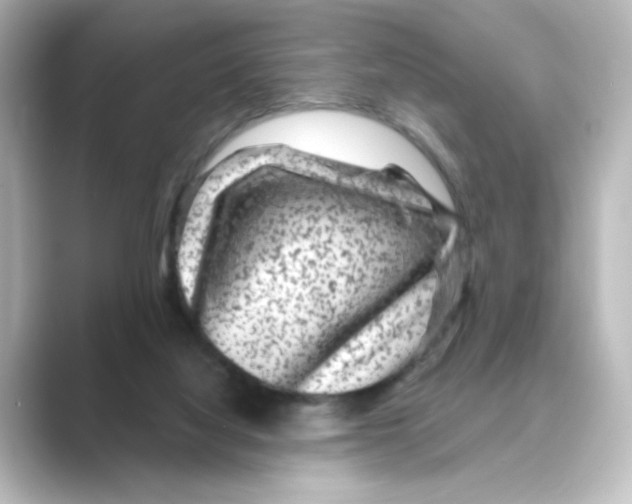 X0000088730068200706212046