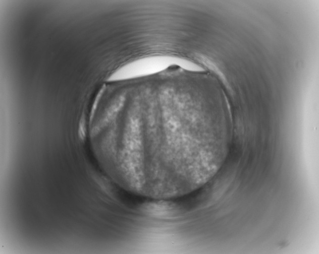 X0000088730069200706212046