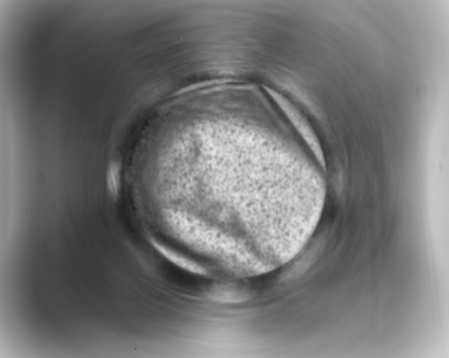 X0000088730070200706212046