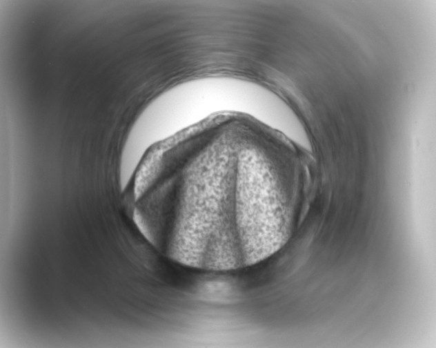 X0000088730073200706212046