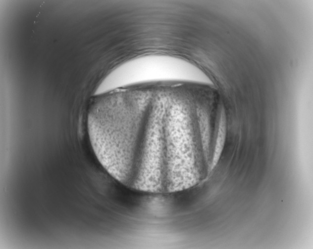 X0000088730074200706212046