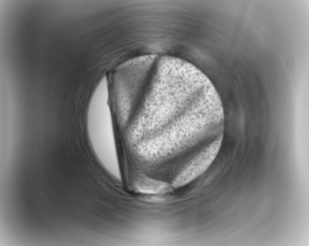 X0000088730075200706212046