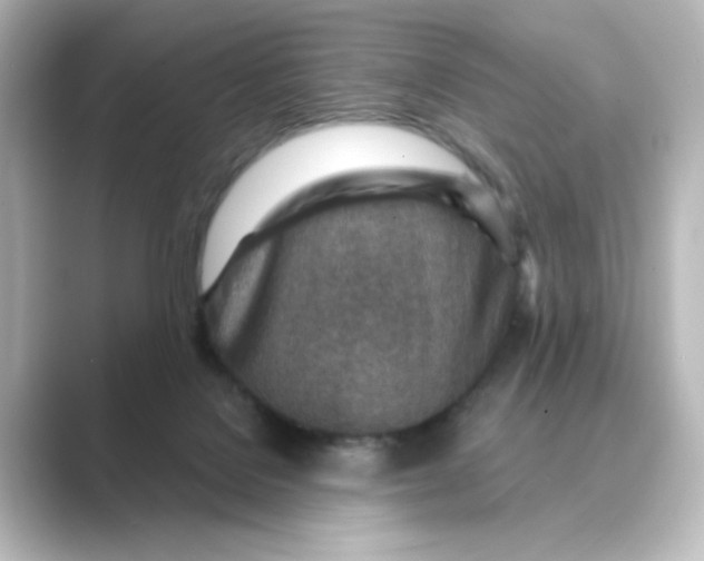 X0000088730076200706212046