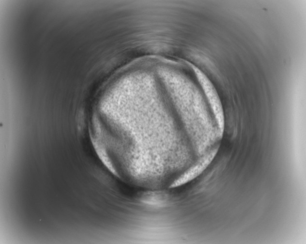 X0000088730077200706212046