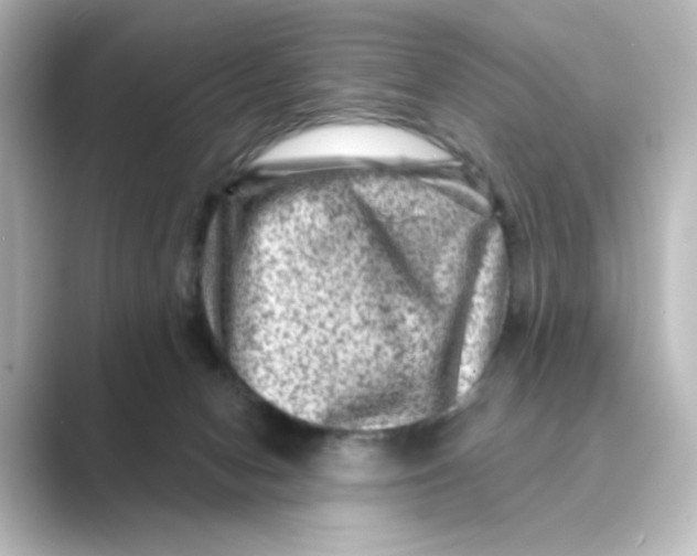 X0000088730078200706212046