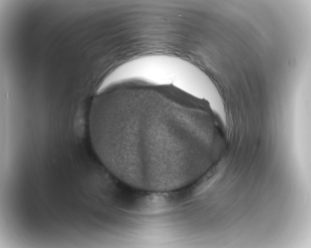 X0000088730080200706212046