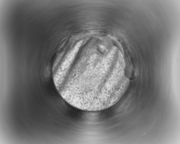 X0000088730081200706212046