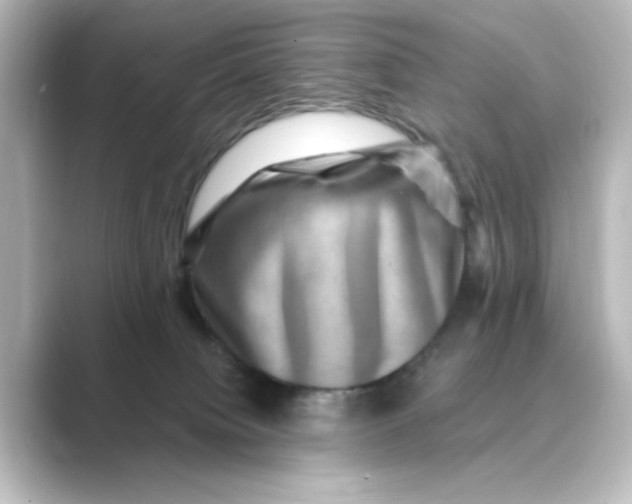 X0000088730084200706212046