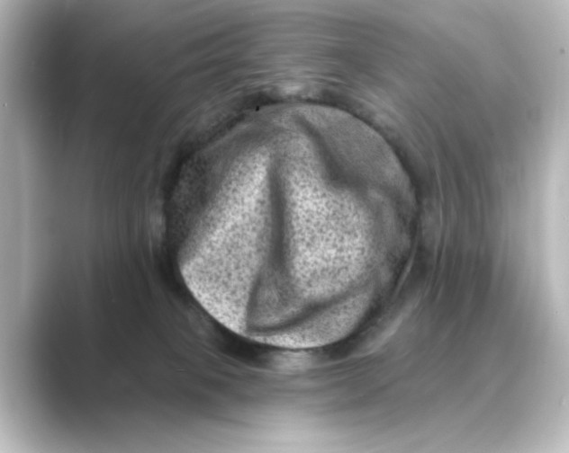 X0000088730085200706212046