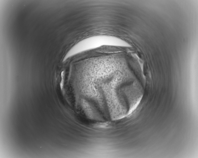 X0000088730086200706212046