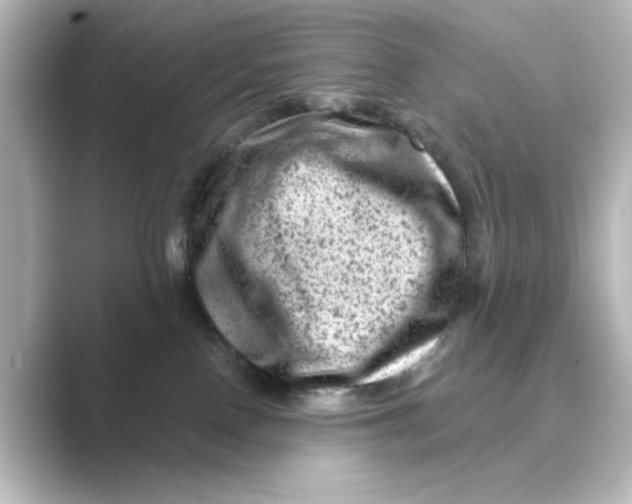 X0000088730090200706212046