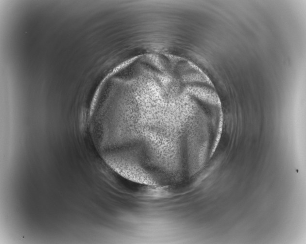 X0000088730093200706212046