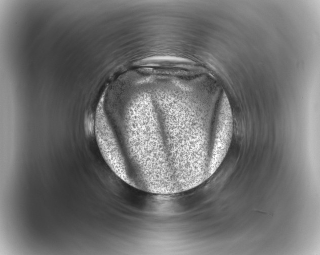 X0000088730095200706212047