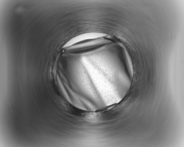 X0000088730096200706212047