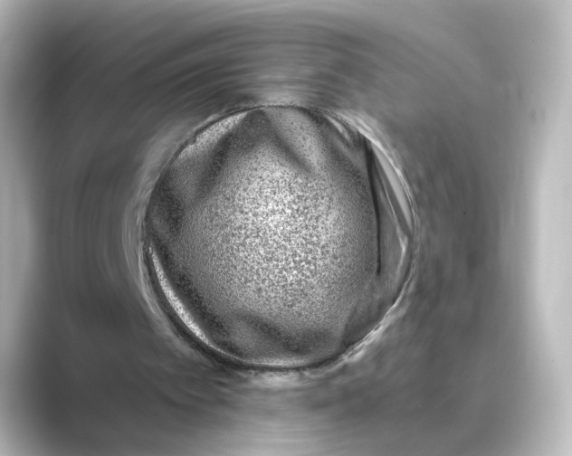 X0000088730097200706212046