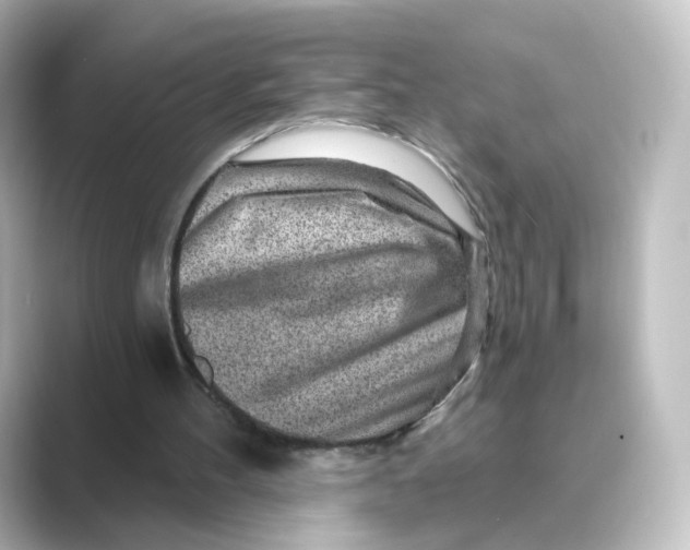 X0000088730100200706212046