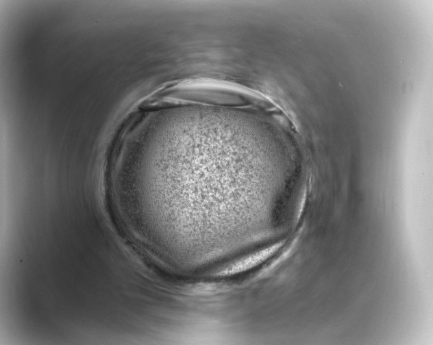 X0000088730101200706212046