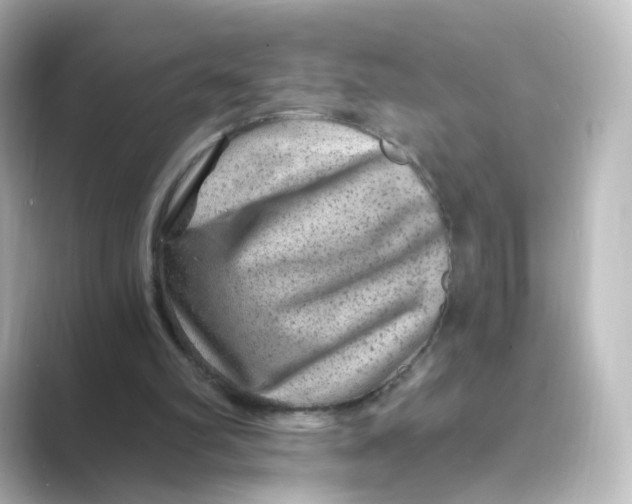 X0000088730102200706212046