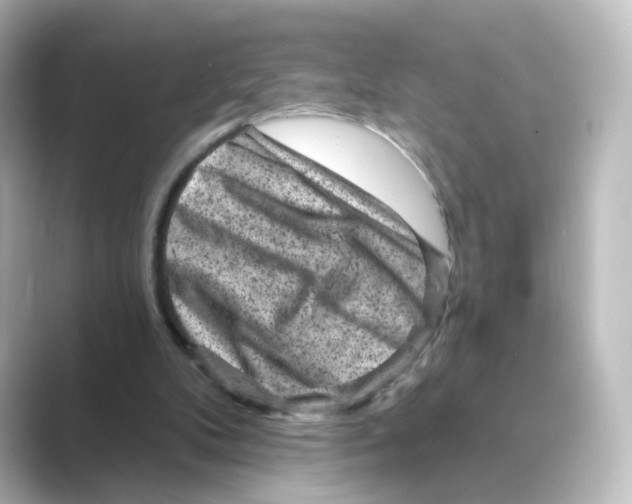 X0000088730104200706212046