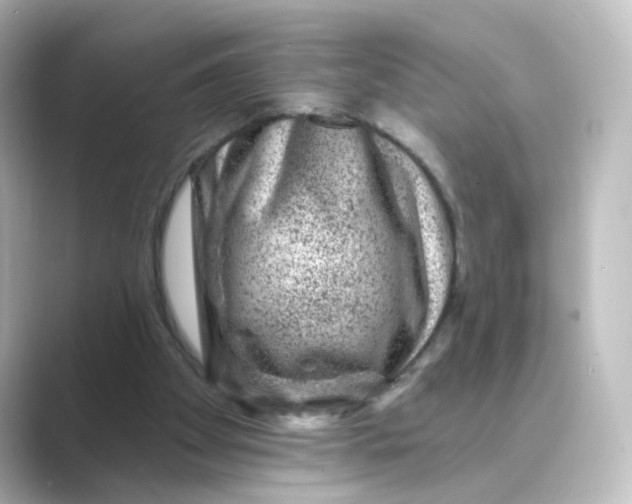 X0000088730105200706212046