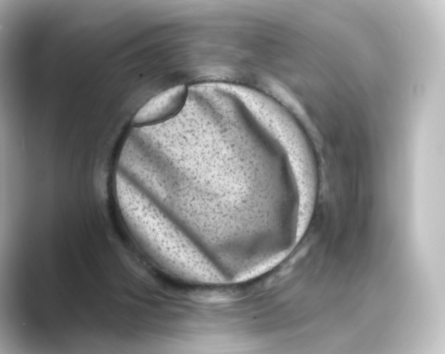 X0000088730106200706212046