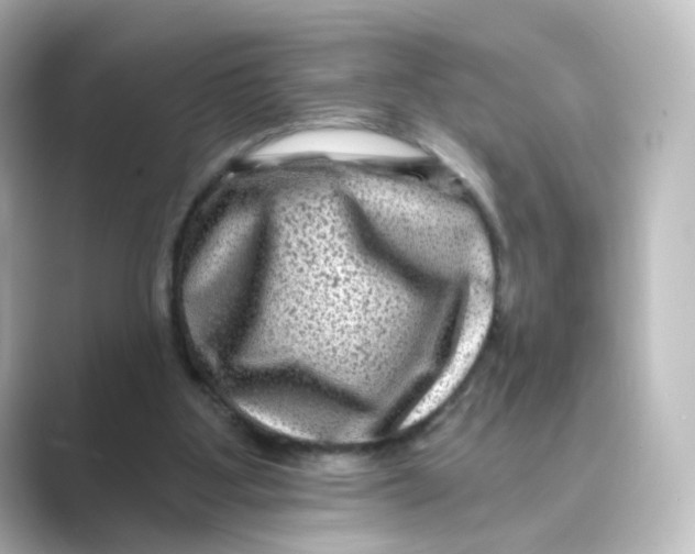 X0000088730107200706212046