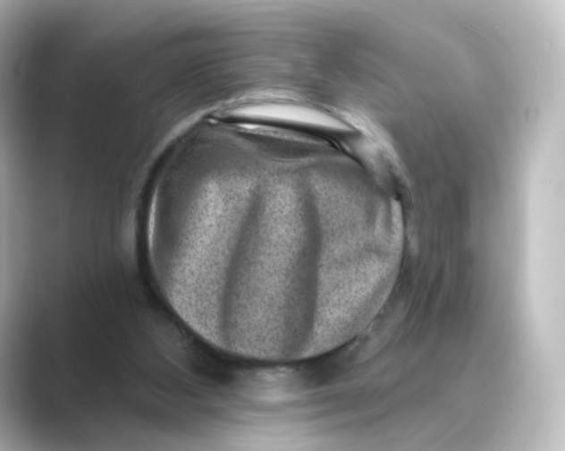 X0000088730108200706212046