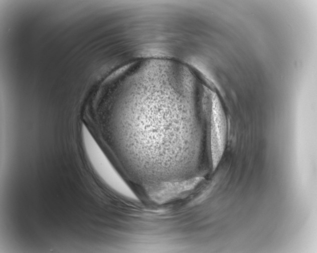 X0000088730109200706212046