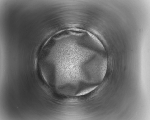 X0000088730110200706212046