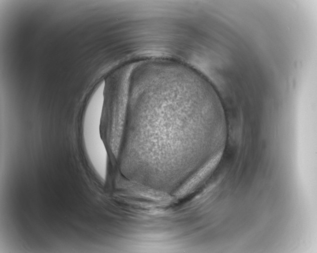 X0000088730111200706212046