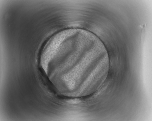 X0000088730112200706212046