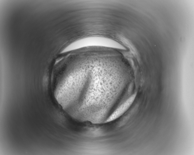 X0000088730113200706212046