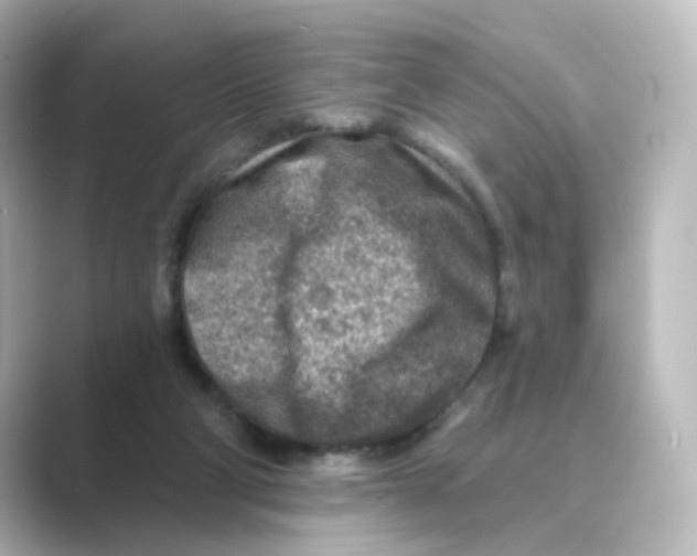 X0000088730114200706212046