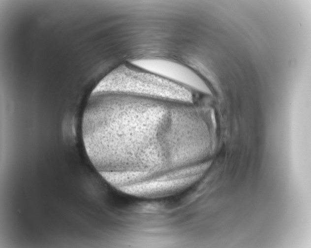 X0000088730115200706212046