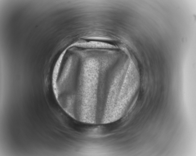 X0000088730116200706212046